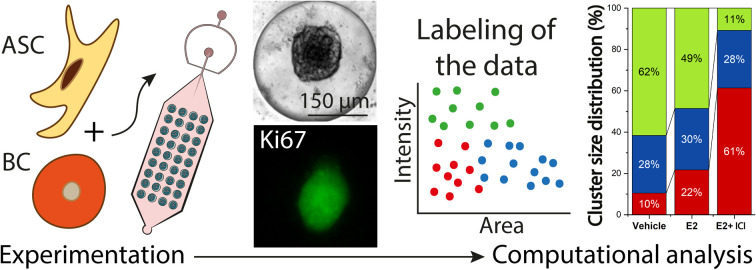 graphic file with name d5lc00320b-ga.jpg