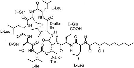 FIG. 7.