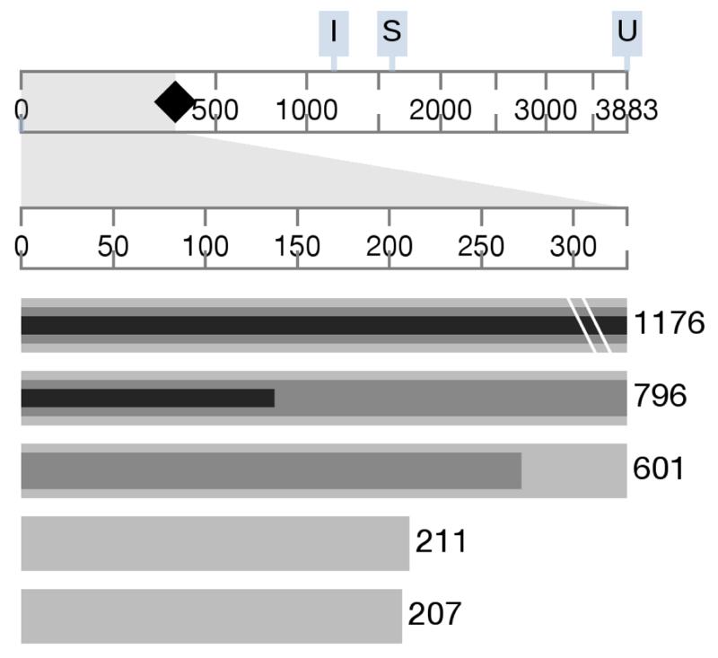 Fig. 10