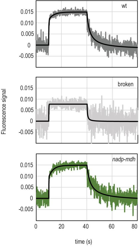 Appendix 1—figure 1.