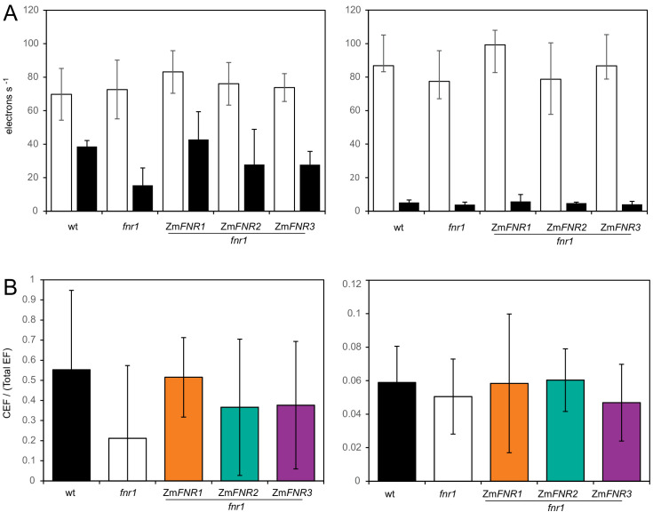 Figure 5—figure supplement 1.