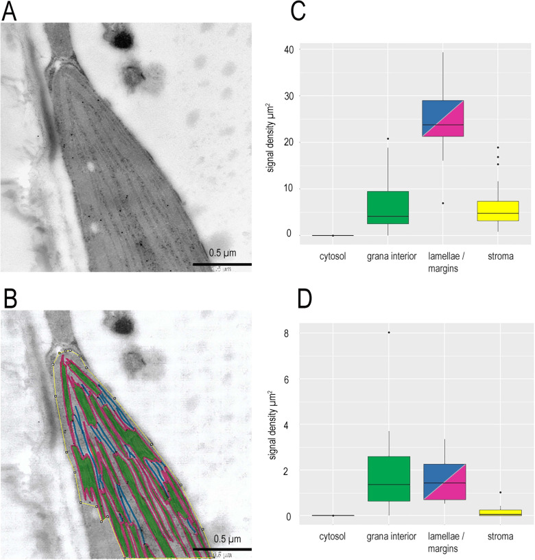 Figure 1—figure supplement 2.