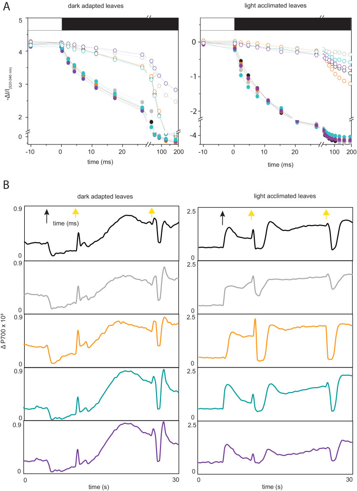 Figure 5—figure supplement 2.