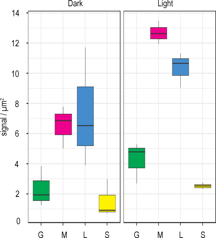 Figure 6.