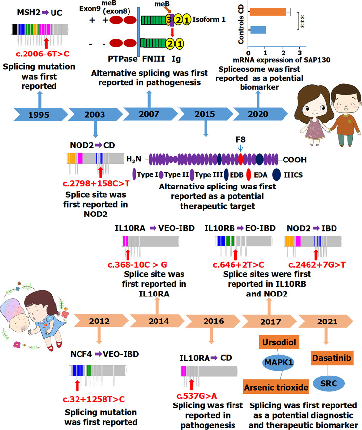 Figure 4