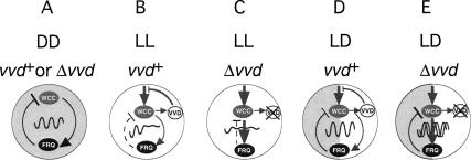 Figure 7.