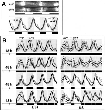 Figure 6.