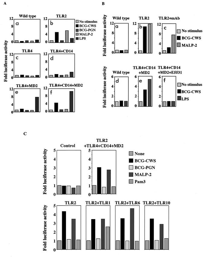 FIG.4.