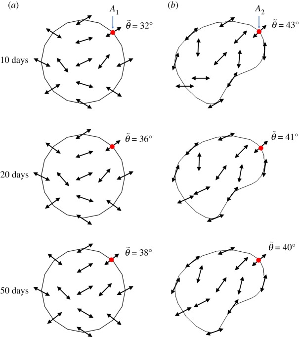 Figure 24.