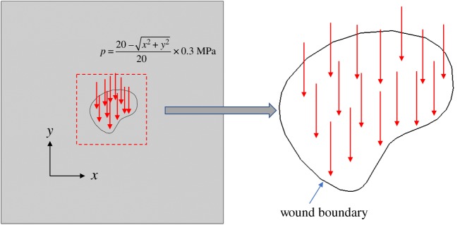 Figure 21.