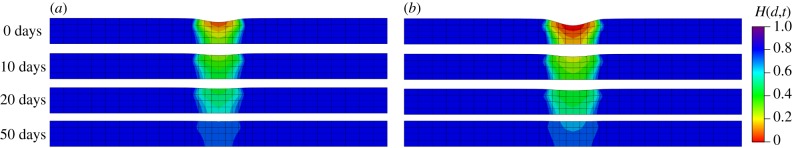 Figure 17.