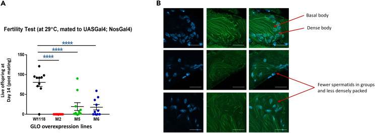 Figure 5