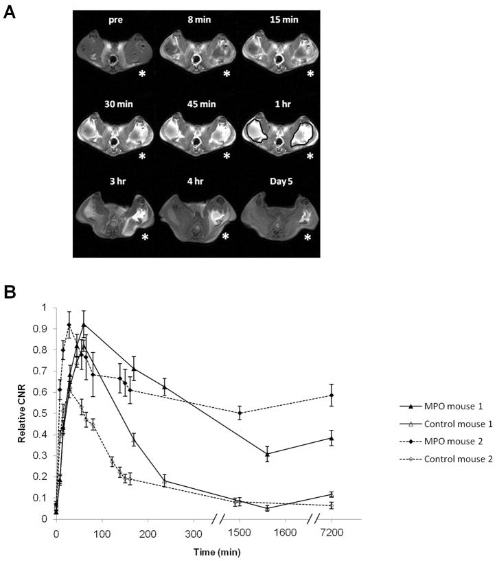 Fig. 6