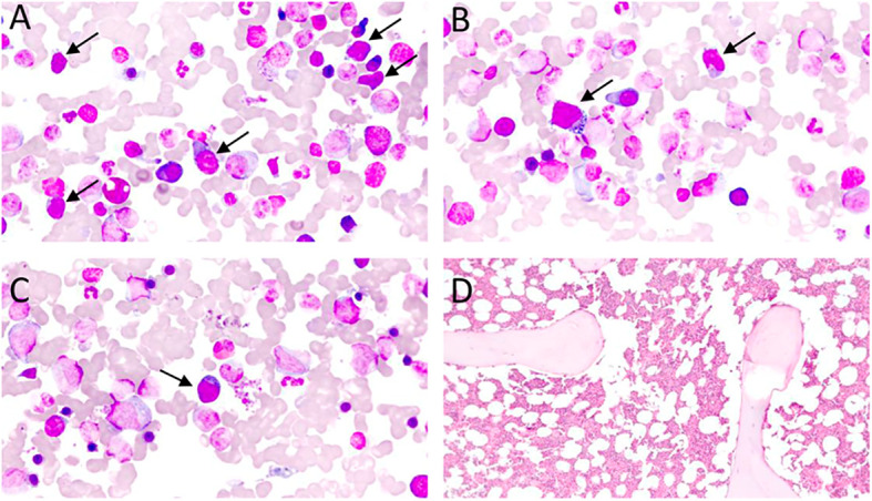 Figure 3