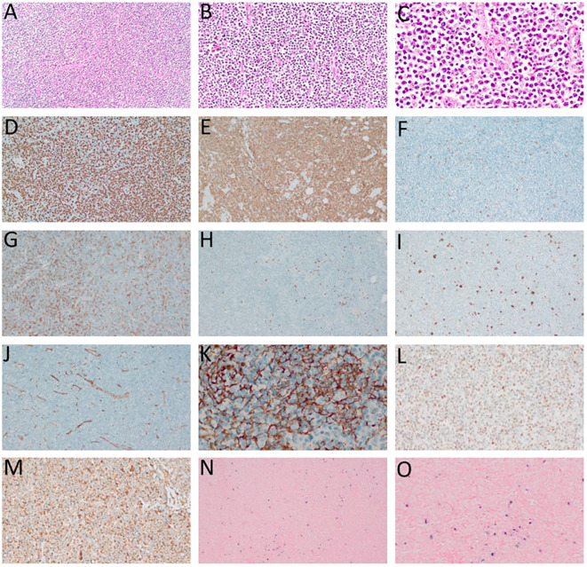 Figure 2