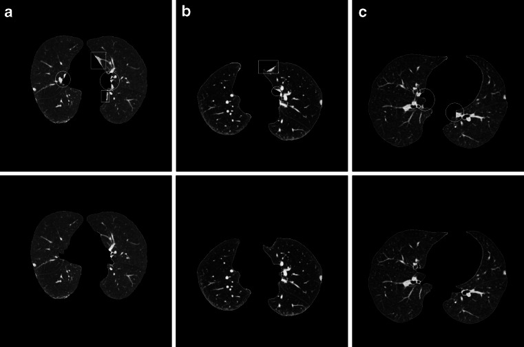 Fig. 17