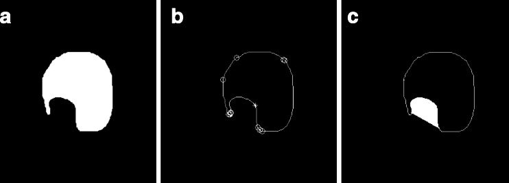 Fig. 10