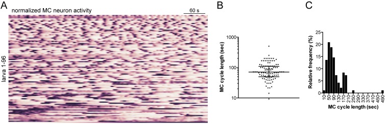 Figure 7—figure supplement 1.