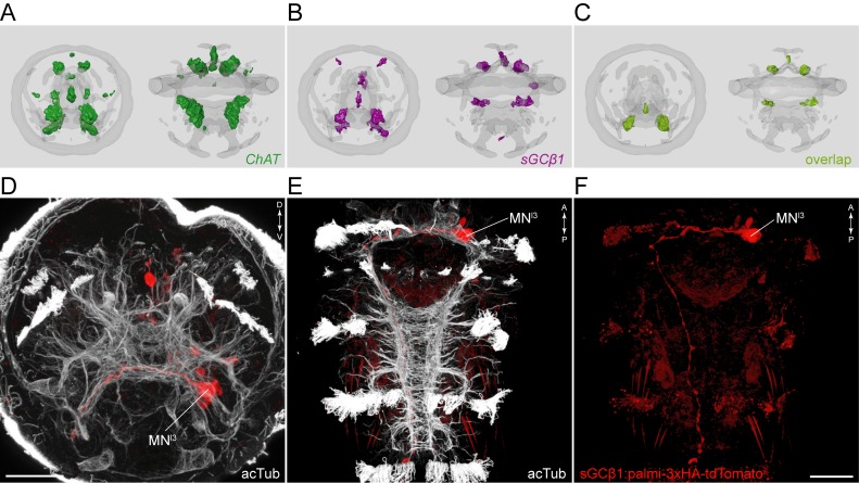 Figure 2—figure supplement 2.