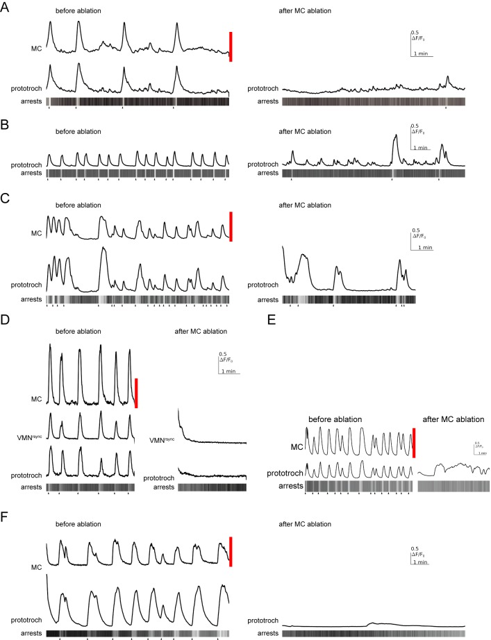 Figure 7—figure supplement 2.