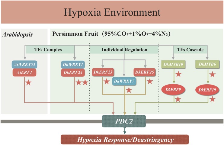 Figure 7.