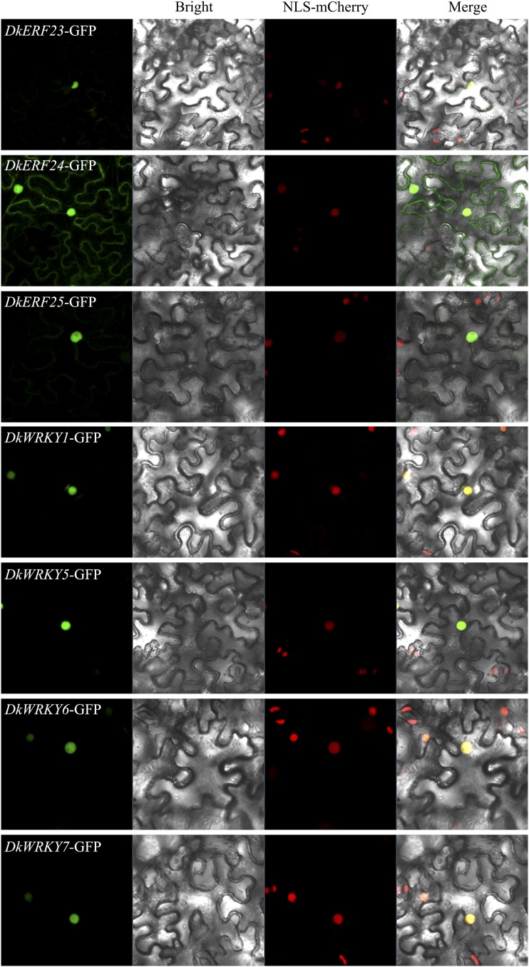 Figure 3.