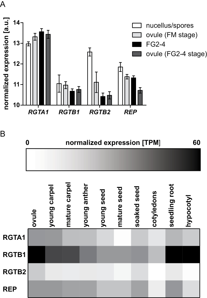 Fig. 8.