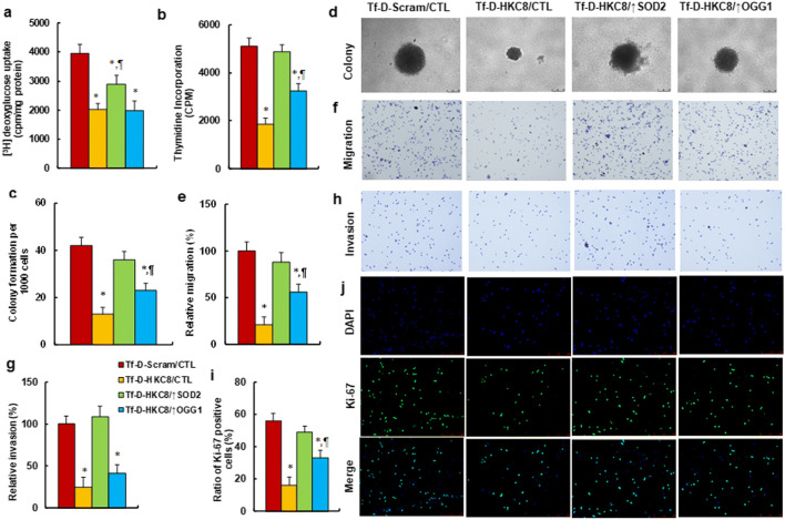 graphic file with name 12015_2021_10160_Figb_HTML.jpg