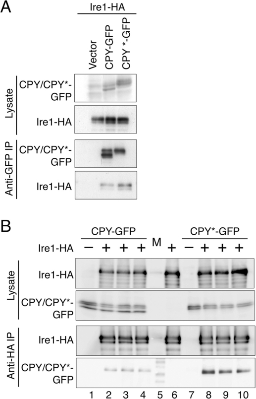 FIGURE 3: