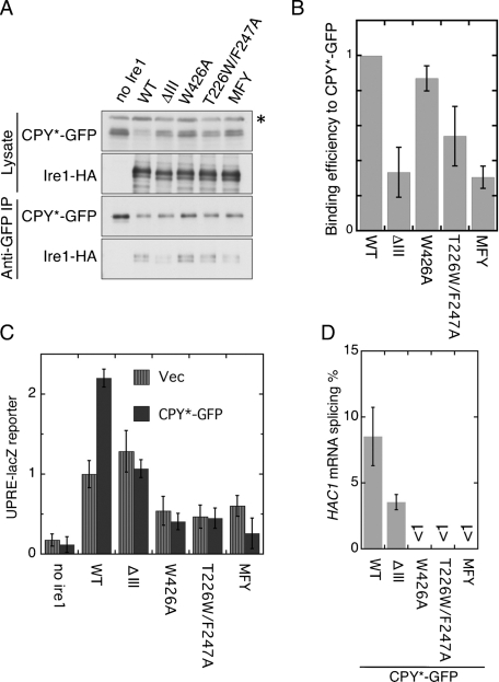 FIGURE 4: