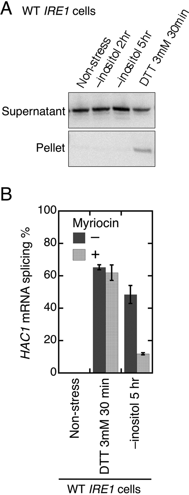 FIGURE 7: