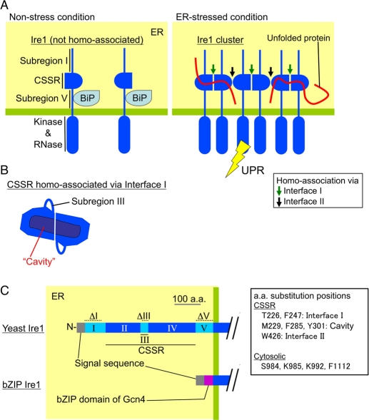 FIGURE 1: