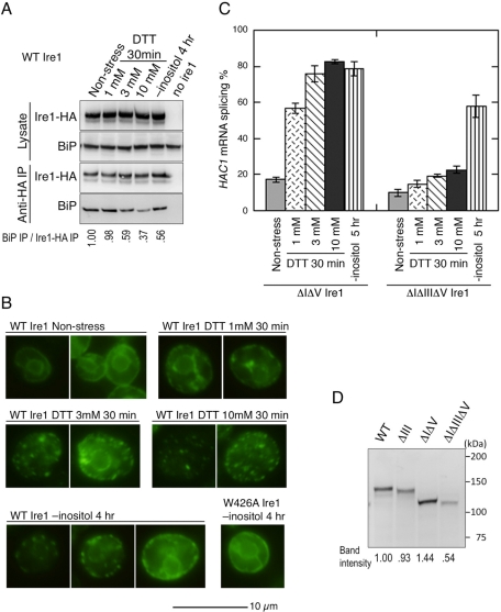 FIGURE 6: