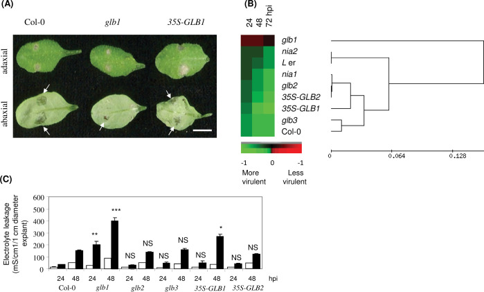 Fig. 4.