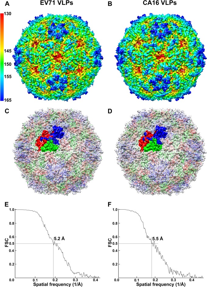 FIG 2