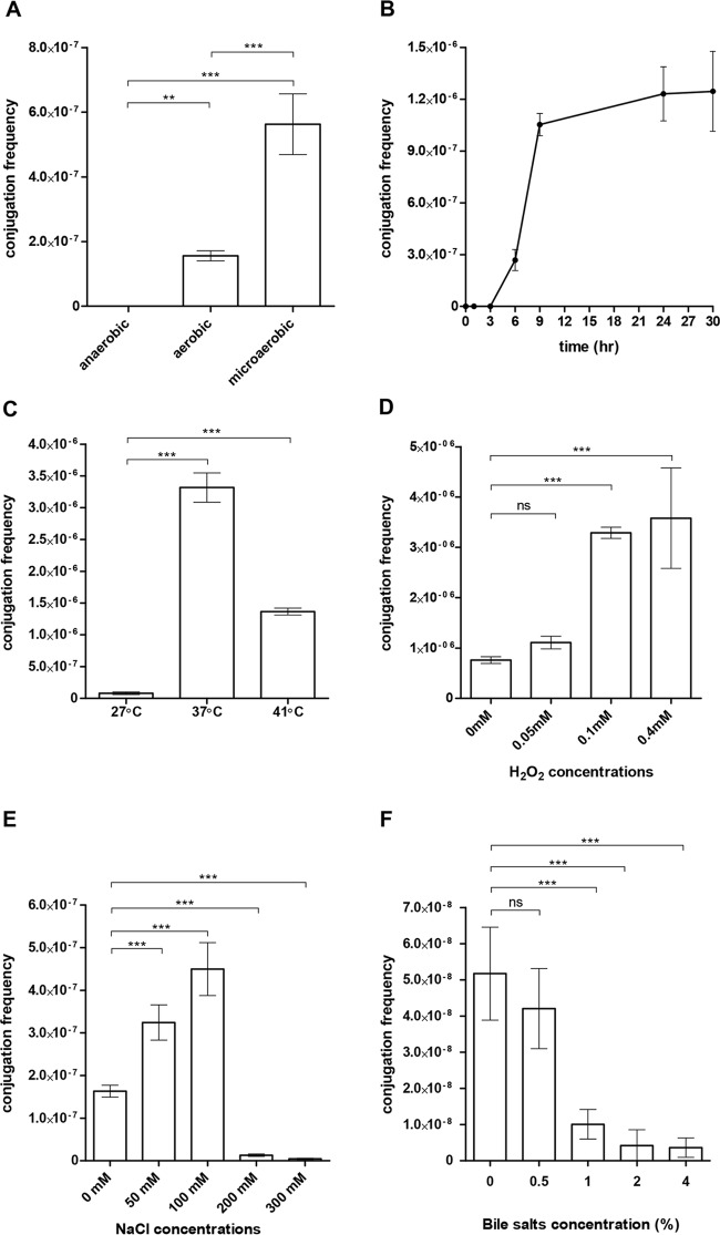 FIG 3 