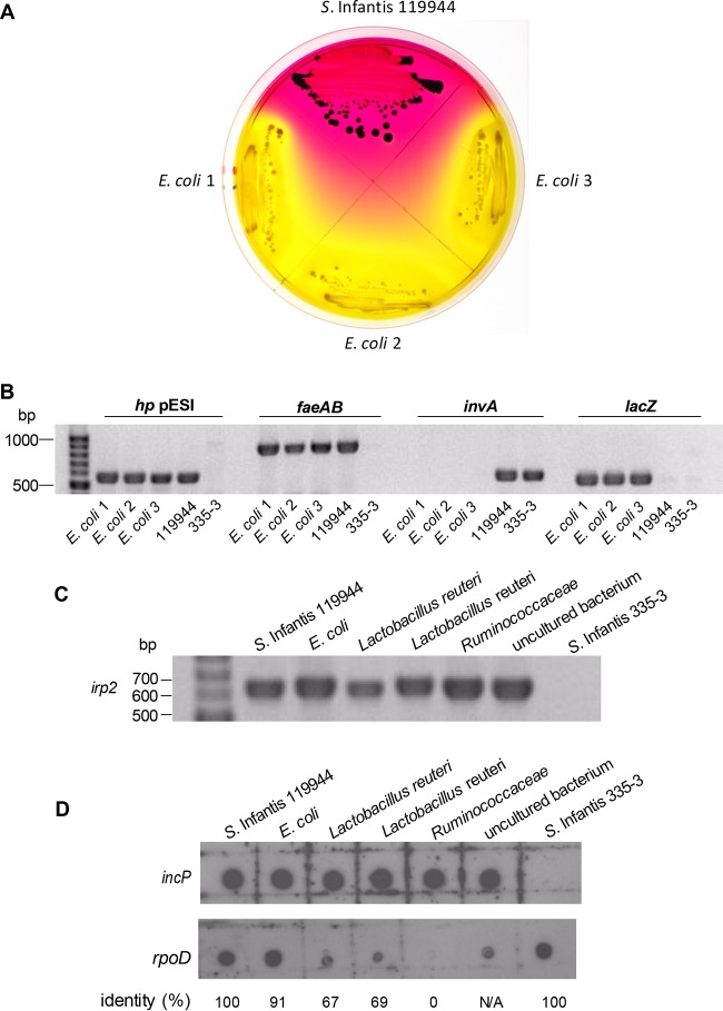 FIG 6 