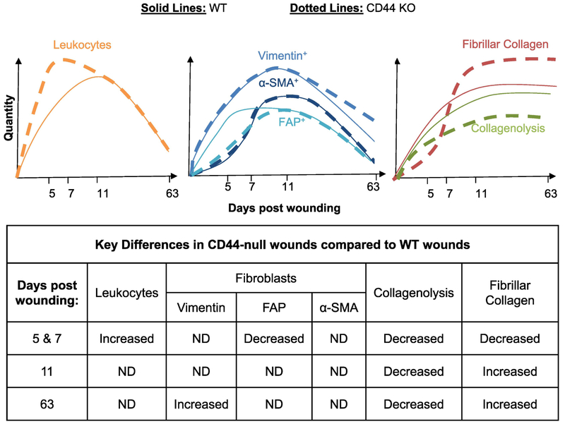 Figure 6: