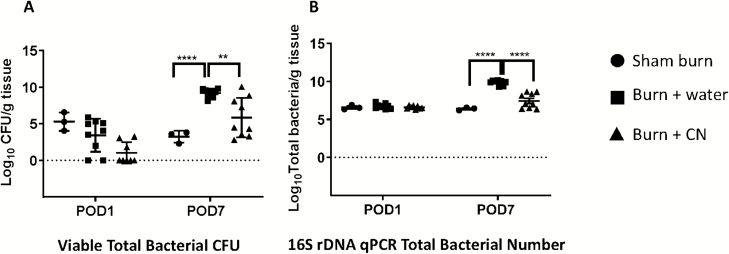 Figure 6.