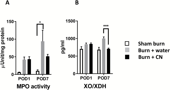 Figure 5.