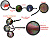 Fig. 4.
