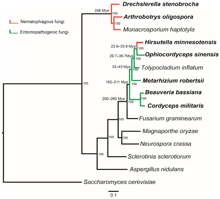 Figure 2