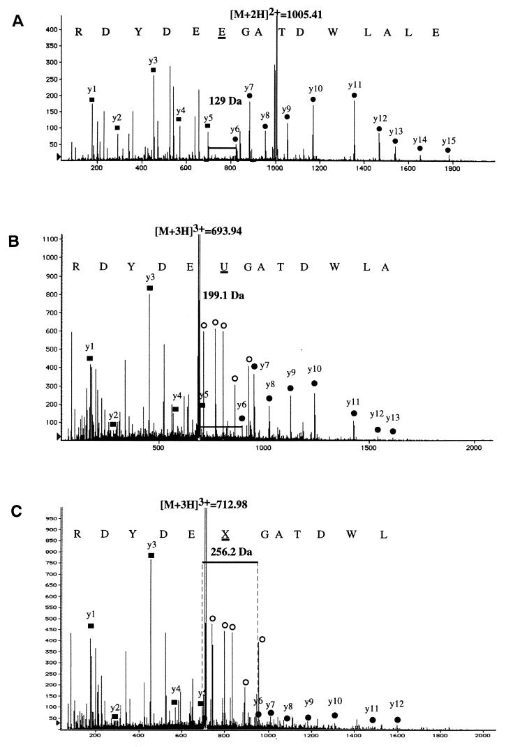 FIG. 5