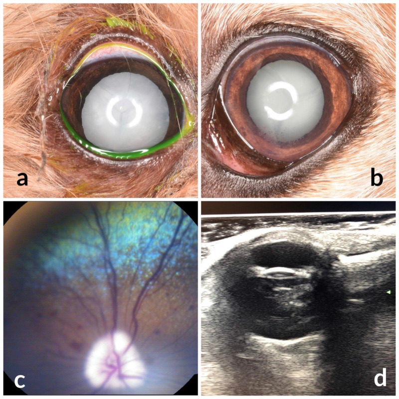 Fig. 3.