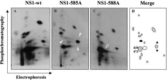 FIG. 7.