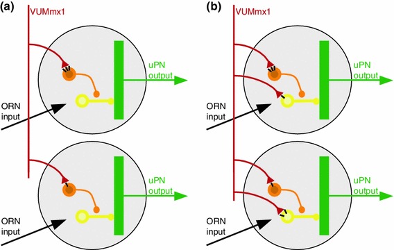 Fig. 8