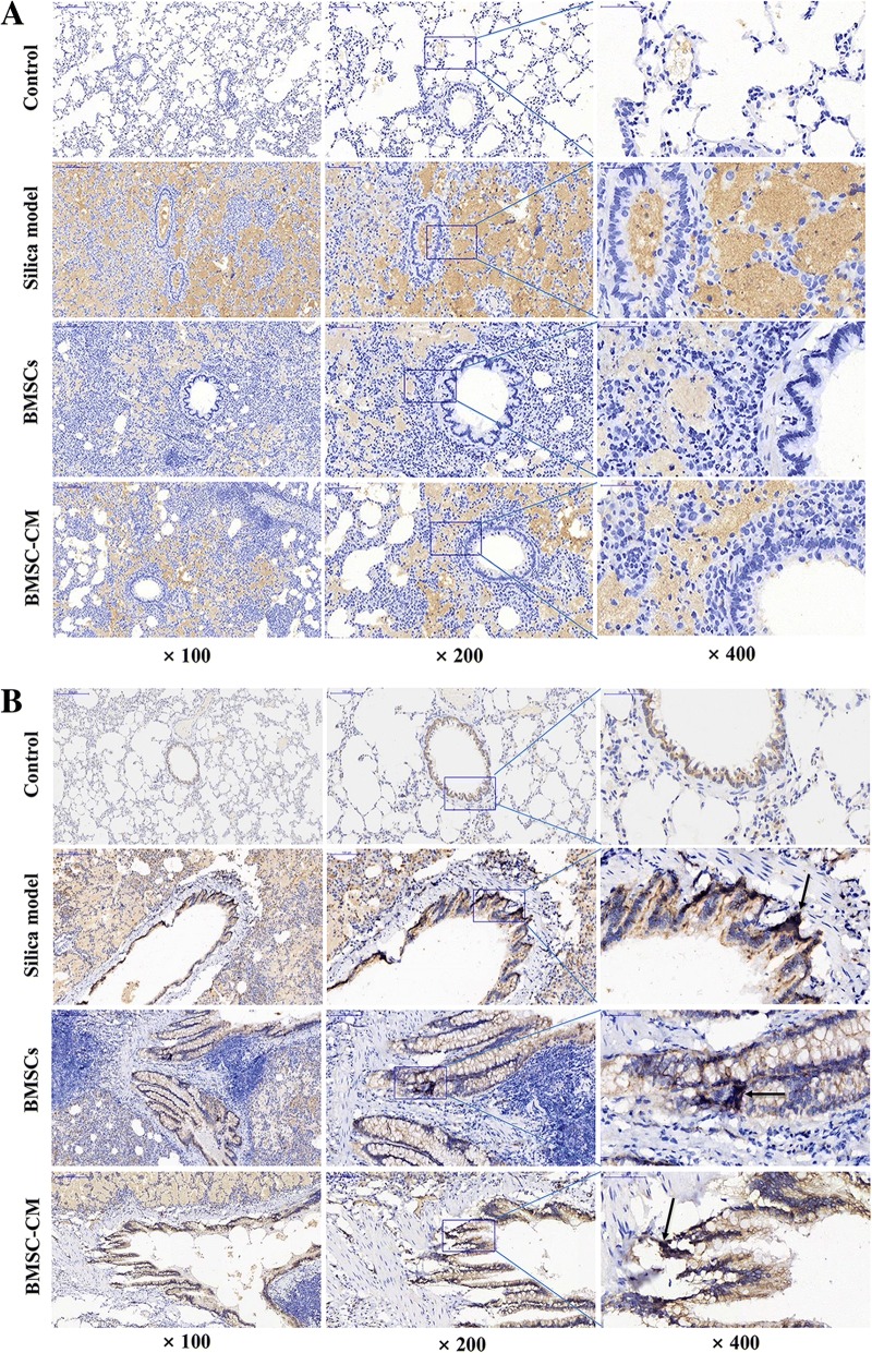 Fig. 9