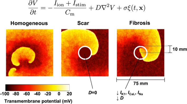 Fig. 1