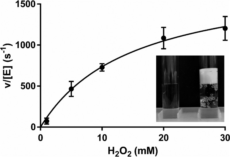 Figure 5.