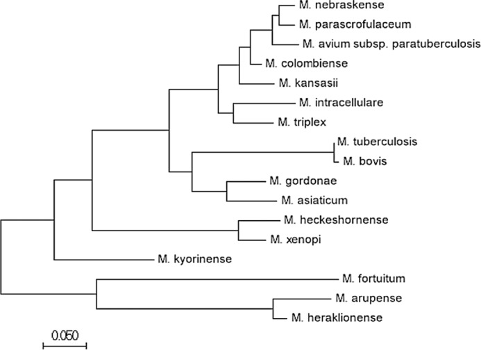 Figure 2.